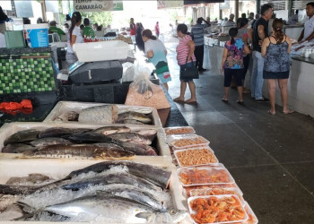Permissionários do Mercado do Peixe voltam ficar sem energia por mais de 24h